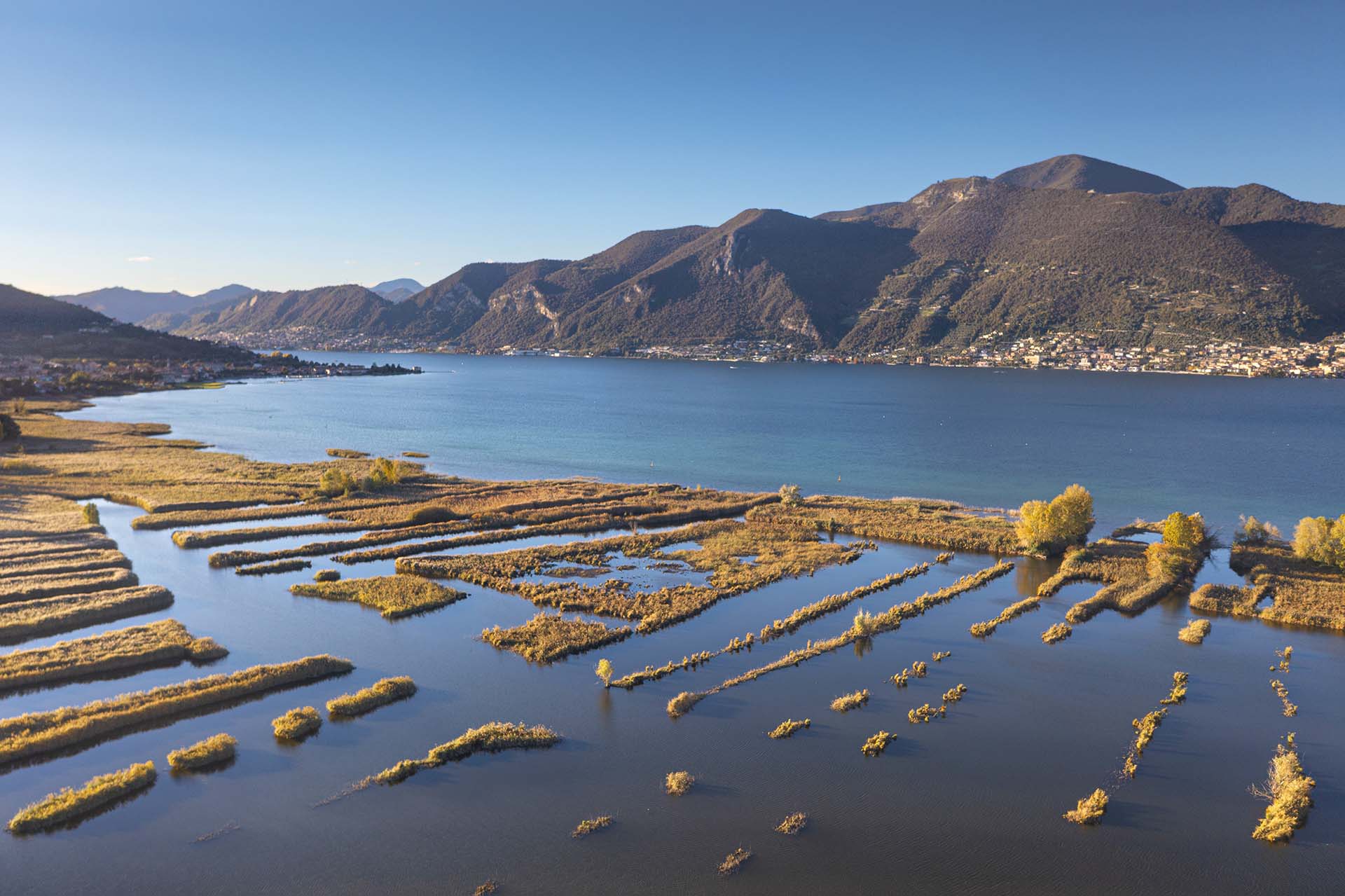 Riserva naturale Torbiere del Sebino e sullo sfondo il Lago d'Iseo.