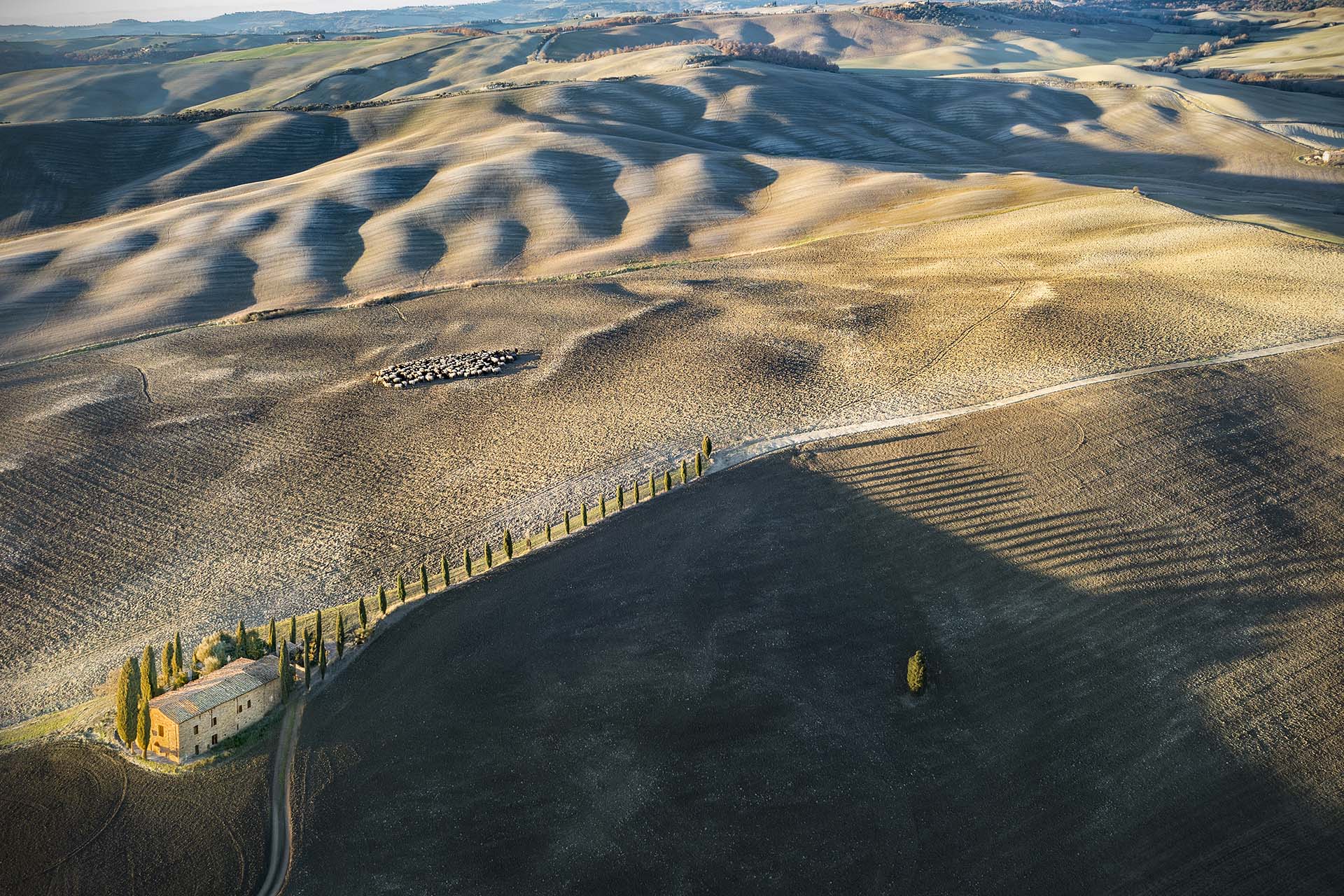 Il territorio collinare della Val d'Orcia.