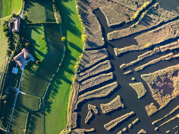 Riserva naturale Torbiere del Sebino e sullo sfondo il Lago d'Iseo.