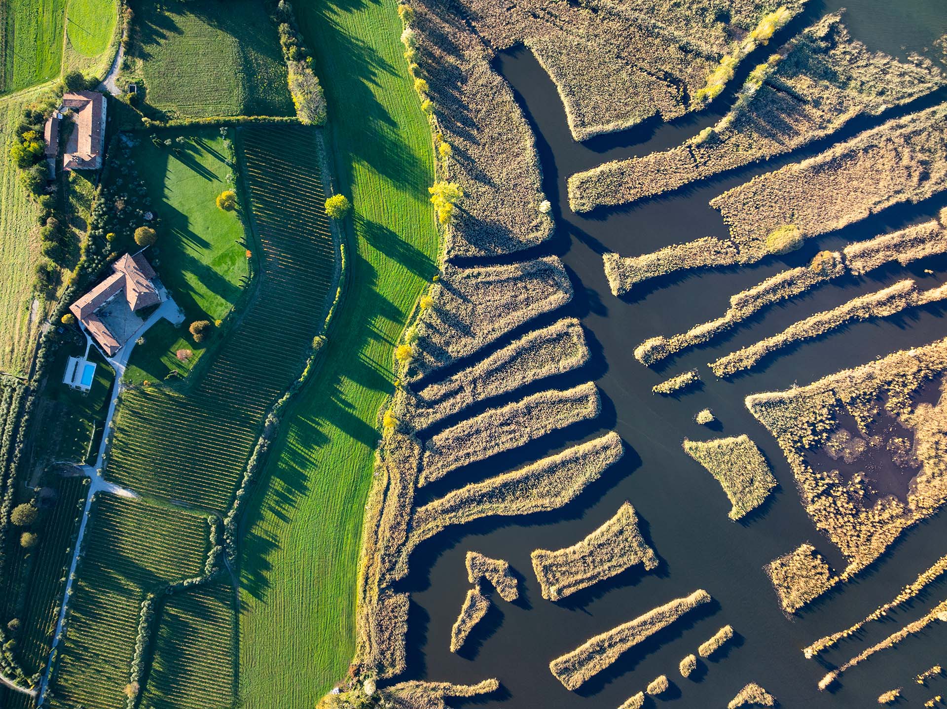Riserva naturale Torbiere del Sebino e sullo sfondo il Lago d'Iseo.
