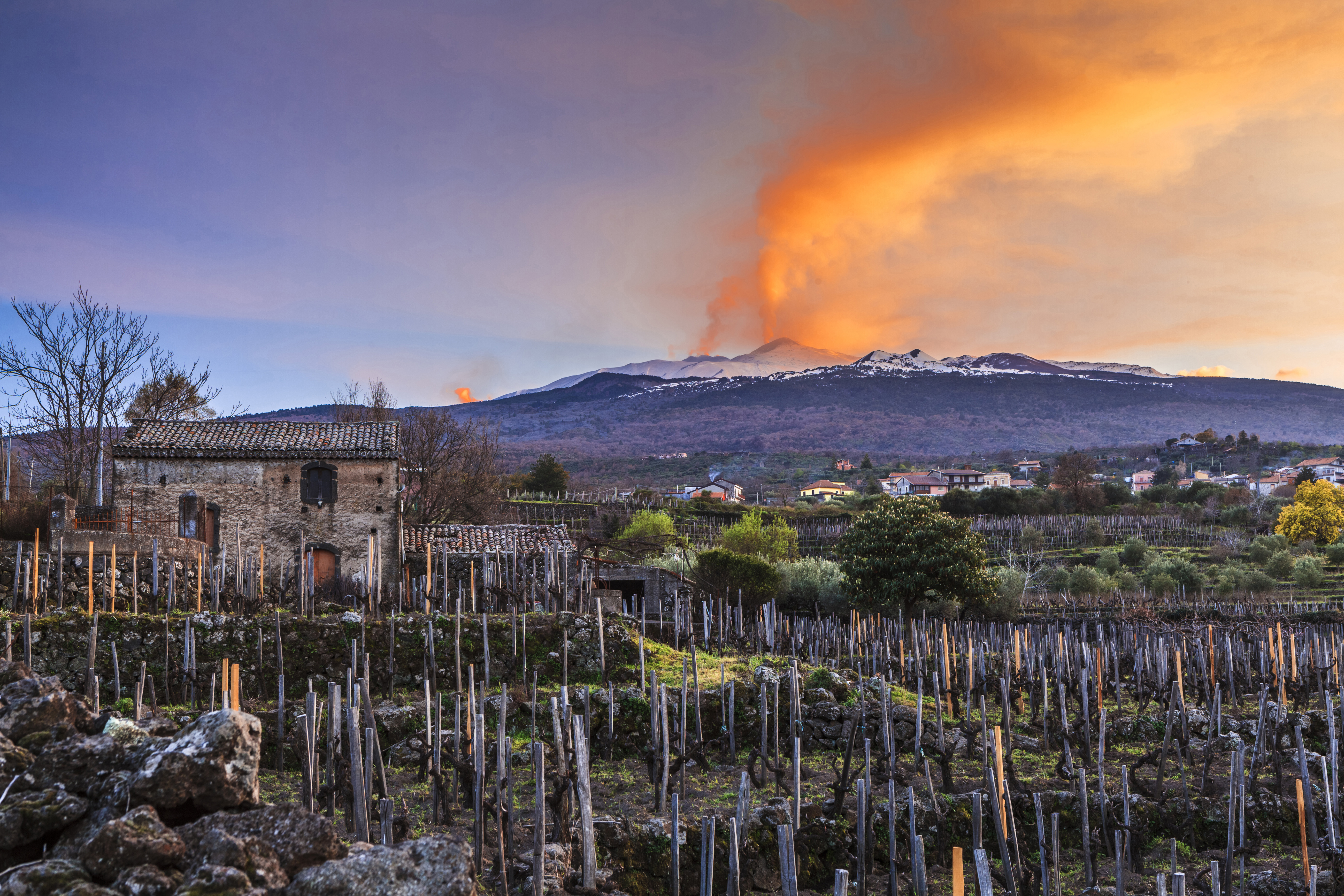 _MG_3254-Vigneti storici di Solicchiata sotto il respiro dell'Etna