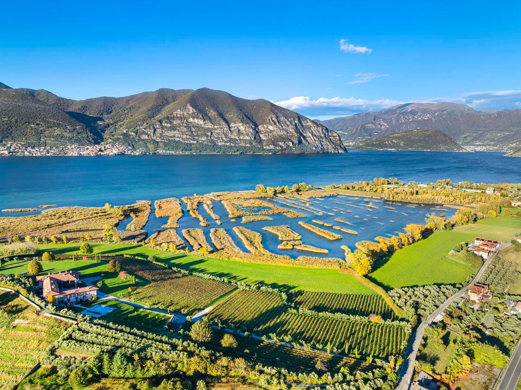 Riserva naturale Torbiere del Sebino e sullo sfondo il Lago d'Iseo.