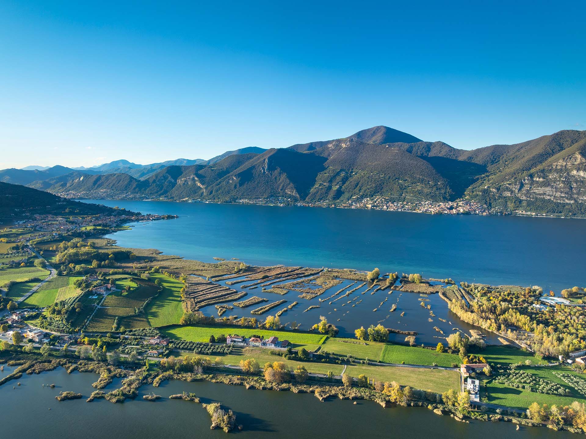 Riserva naturale Torbiere del Sebino e sullo sfondo il Lago d'Iseo.