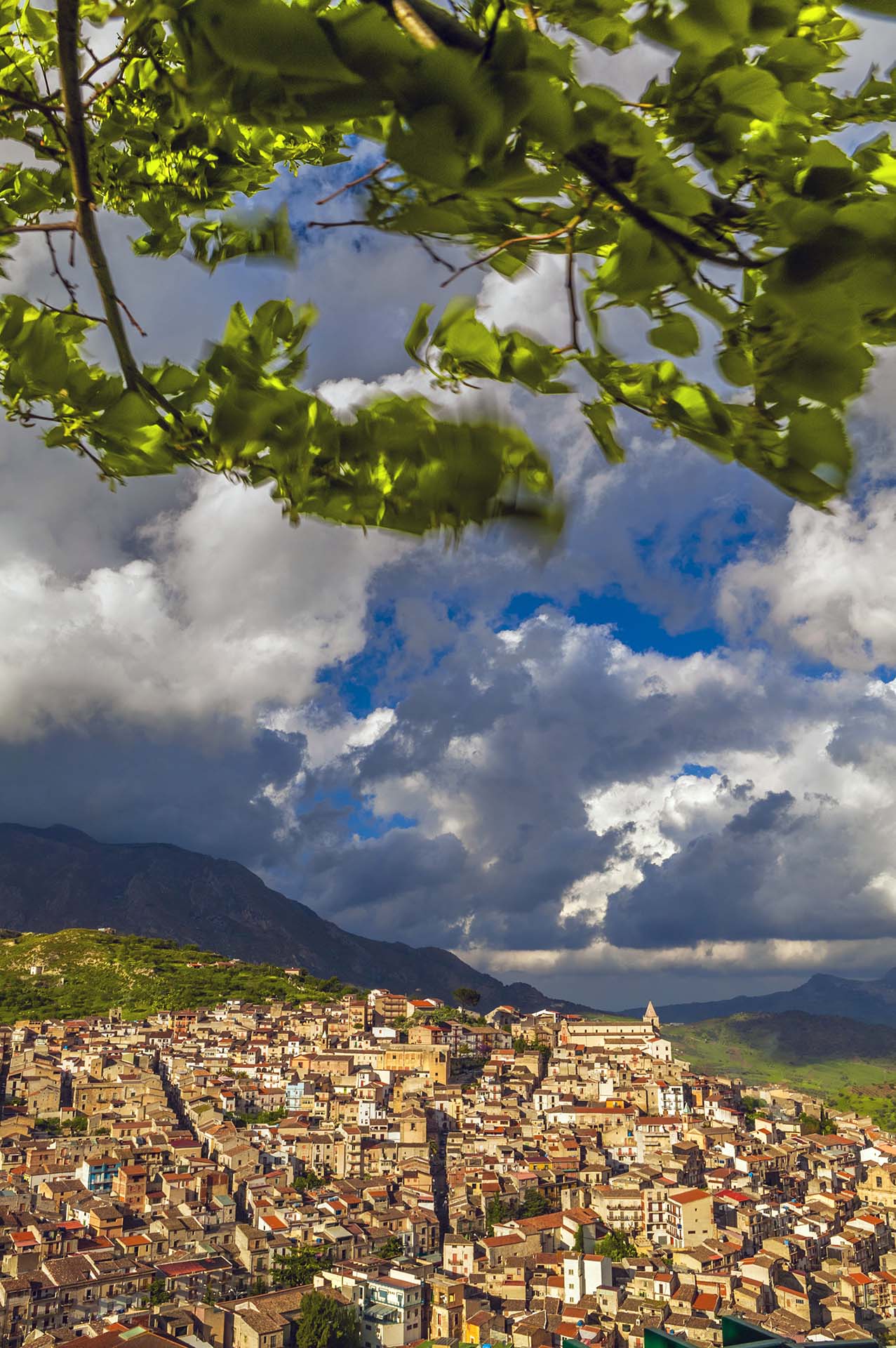 DE7U4741-Panorama del borgo di Ciminna, perla dell'entroterra Palermitano
