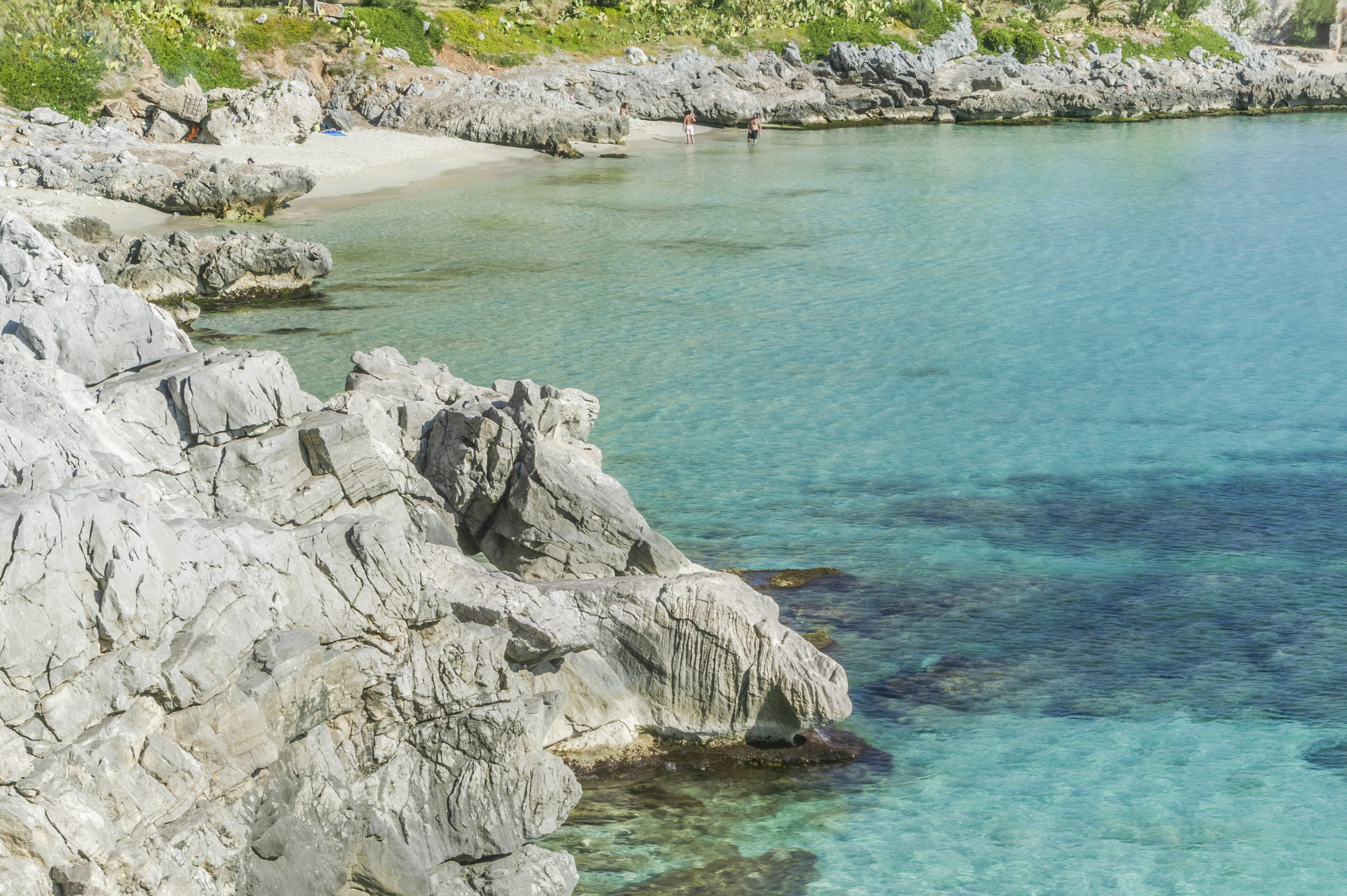 L’anima selvaggia di Mondello, alla scoperta della Riserva di Capo Gallo