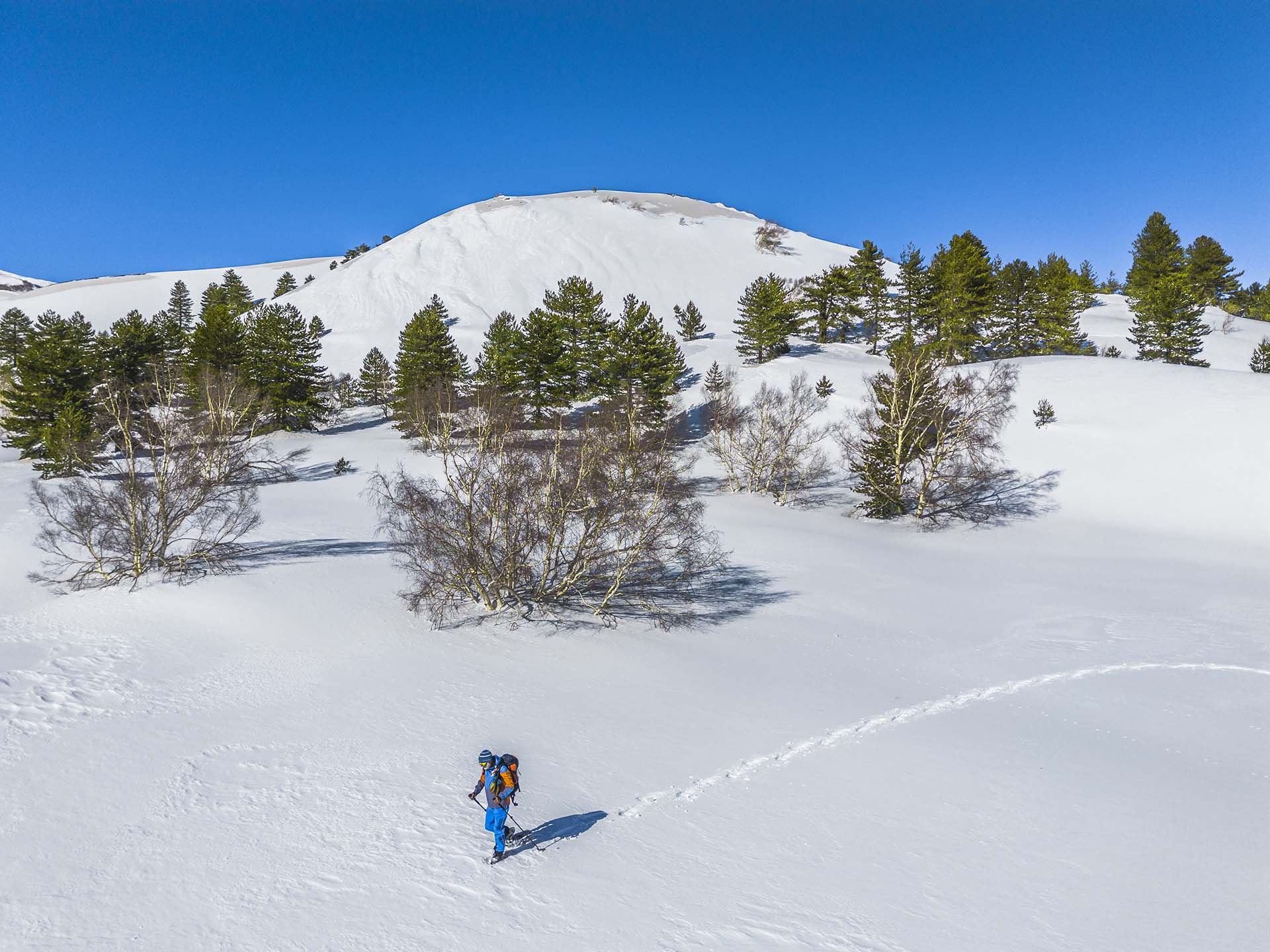 Etna, trekking tra le betulle innevate dei Monti Sartorius
