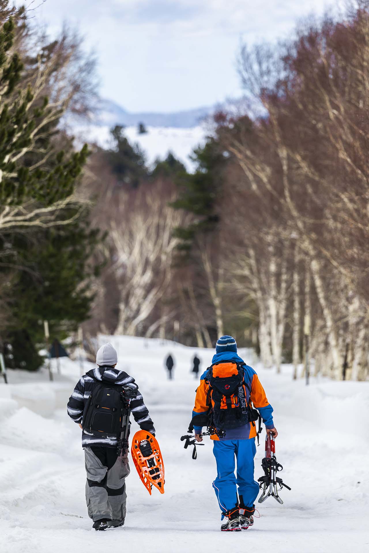 Etna nord, escursione invernale ai piedi dei Monti Sartorius