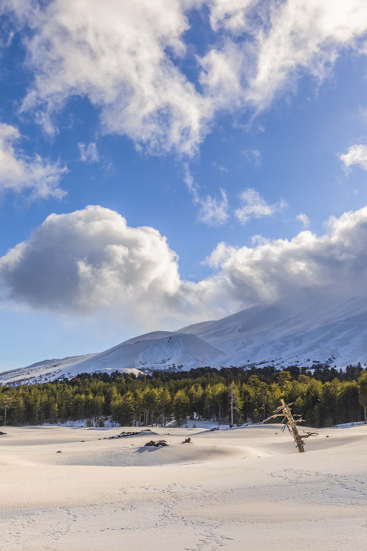 SAFF7350-Etna, l'eleganza invernale di Monte Frumento delle Concazze