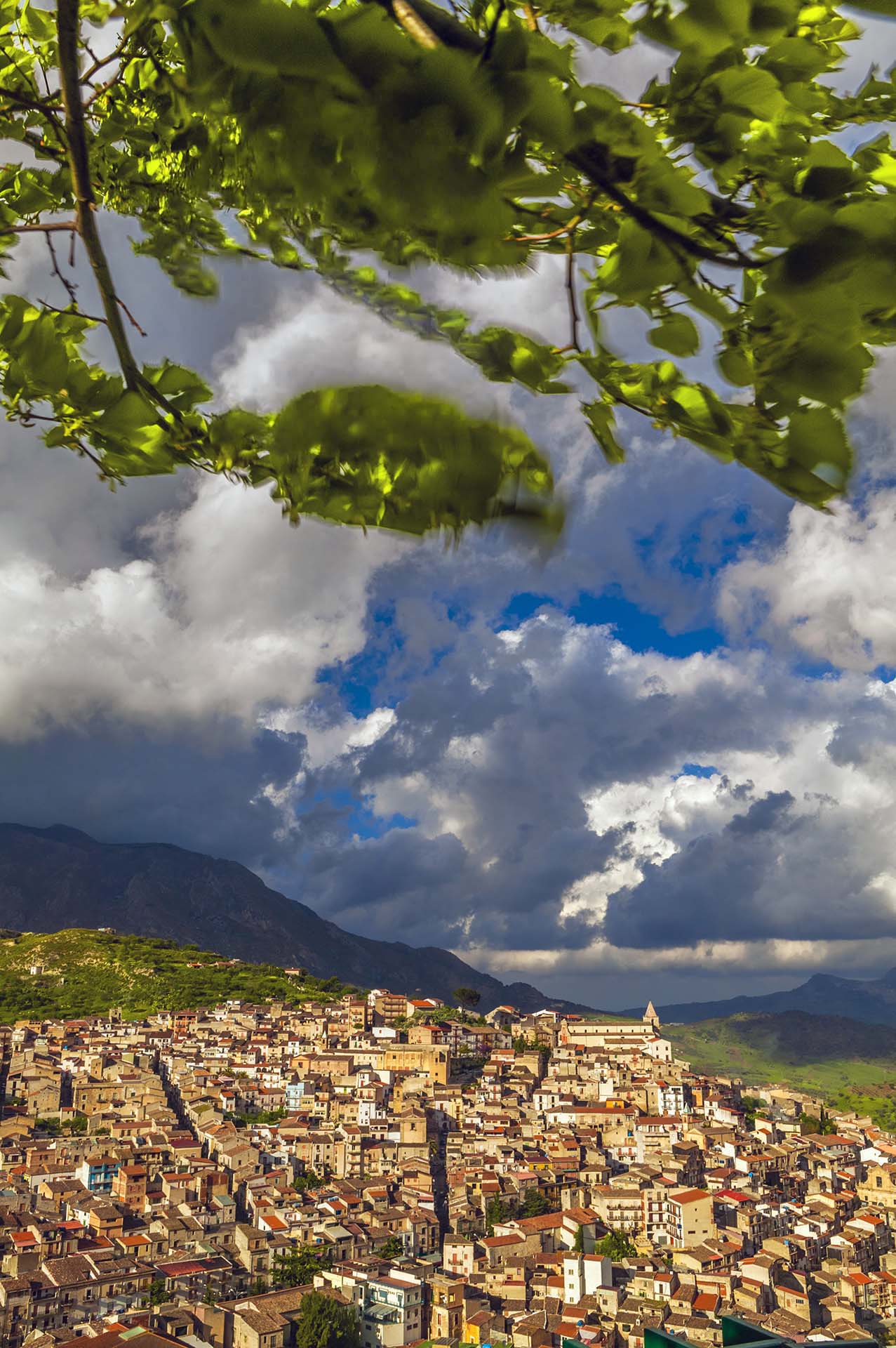 SIM-723872 - DE7U4741 - Panorama del borgo di Ciminna, perla dell'entroterra Palermitano