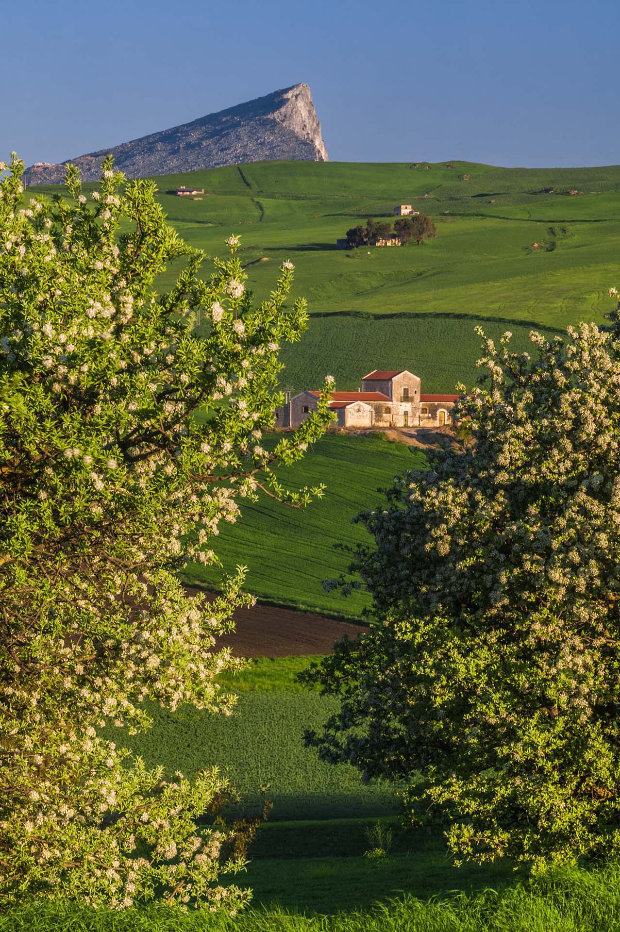 TER-723875 - DE7U4786 - Presidio di natura e storia, l'incanto delle colline di Ficuzza