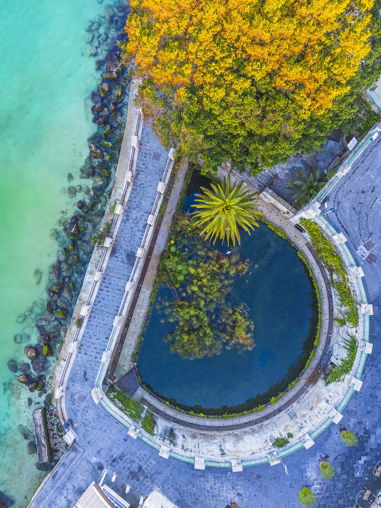 DJI_0175-HDR-Fonte Aretusa - L'oasi di papiro nell'isola di Ortigia 