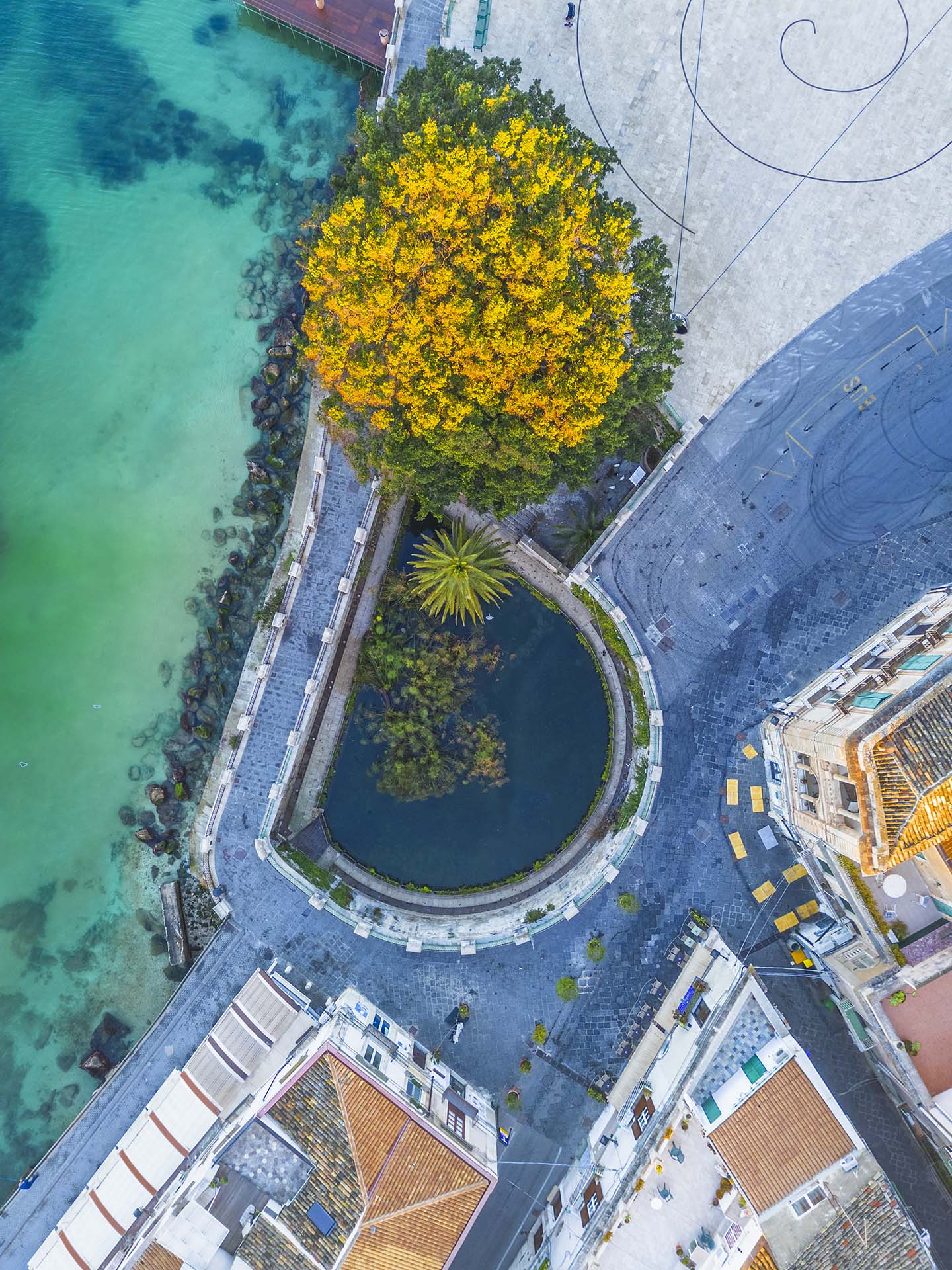 DJI_0187-HDR-Fonte Aretusa - L'oasi di papiro nell'isola di Ortigia