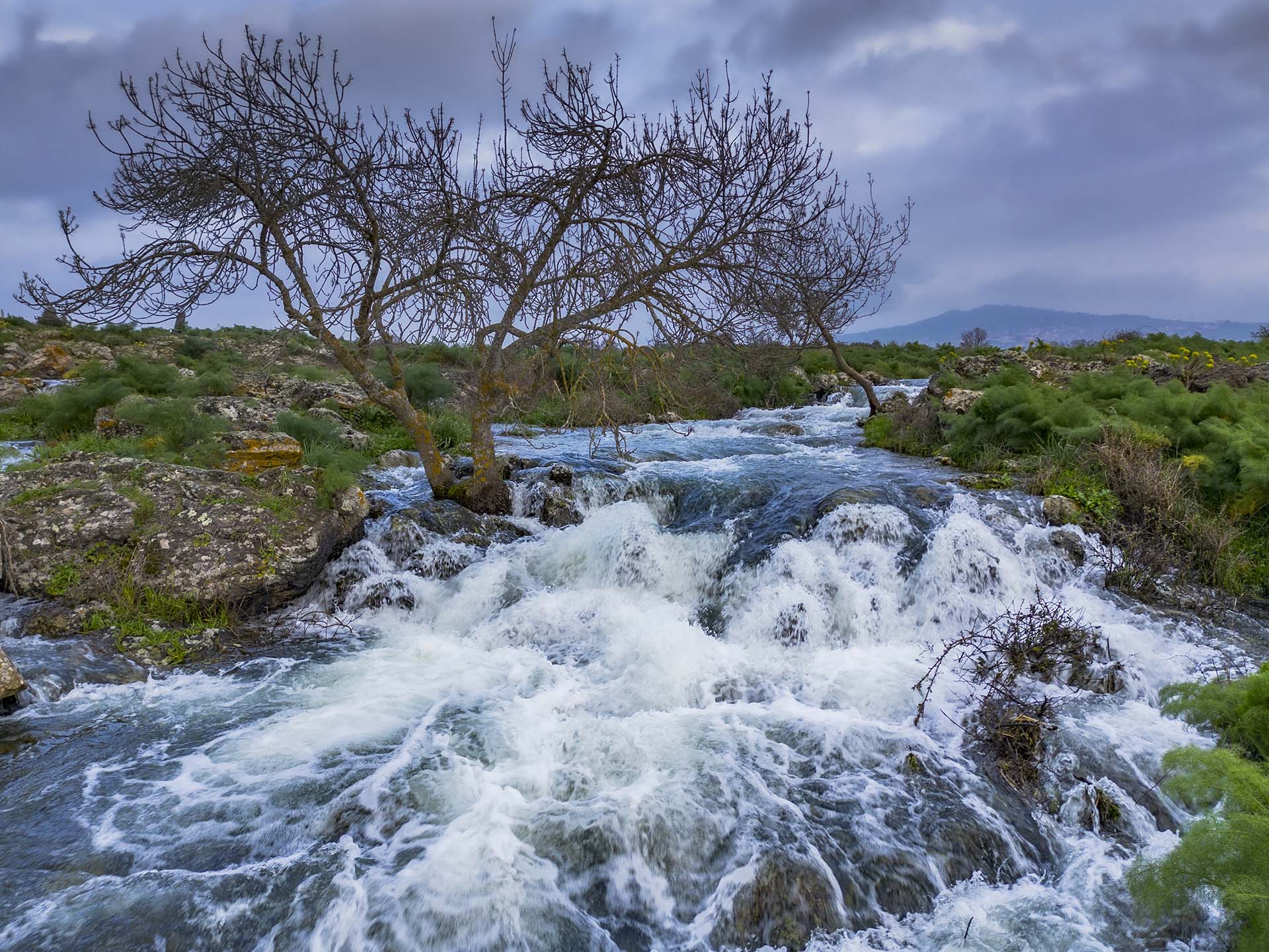 I ruscelli delle Favare di Santa Venera, un Eden vulcanico