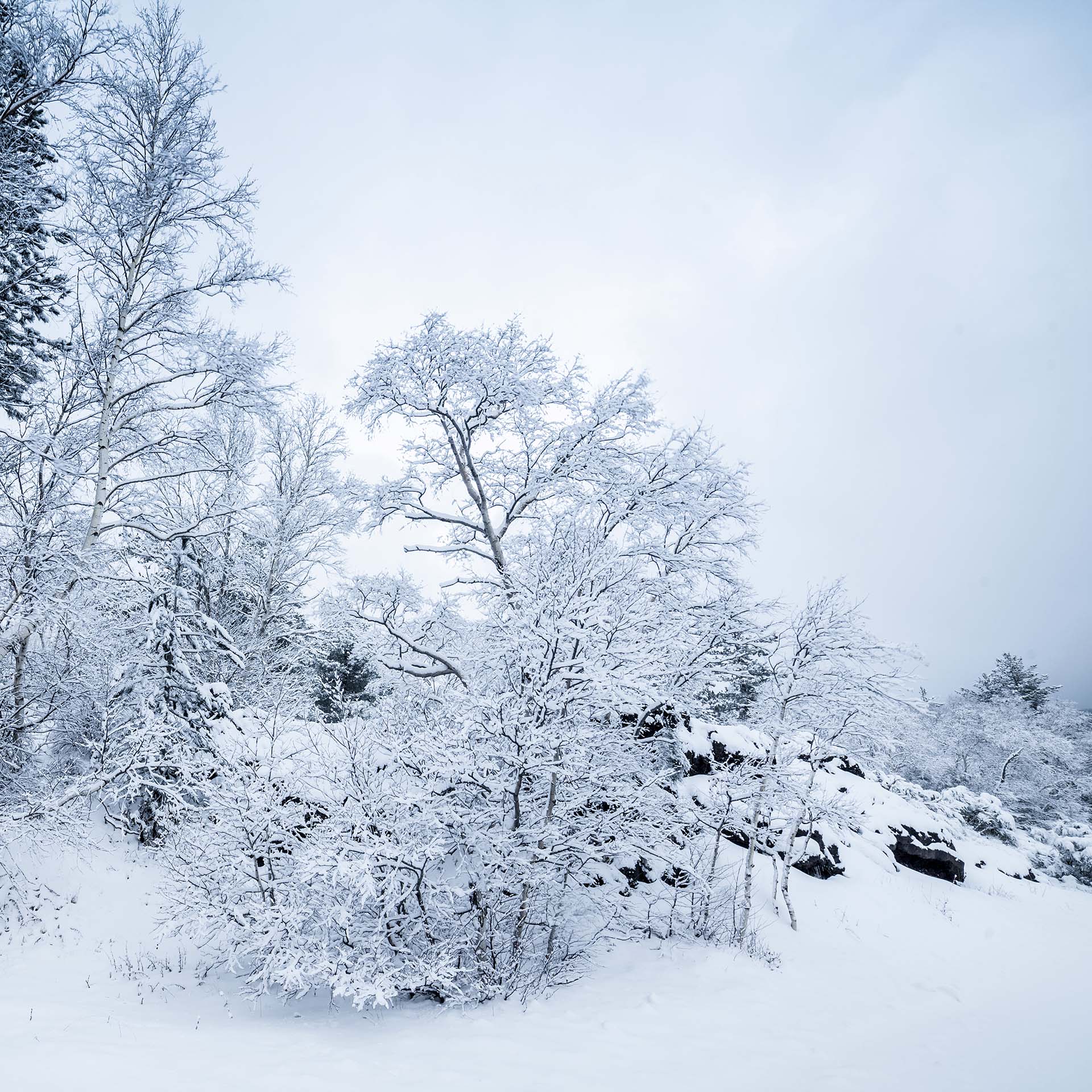 Inverno sul versante Nord-Est dell’Etna