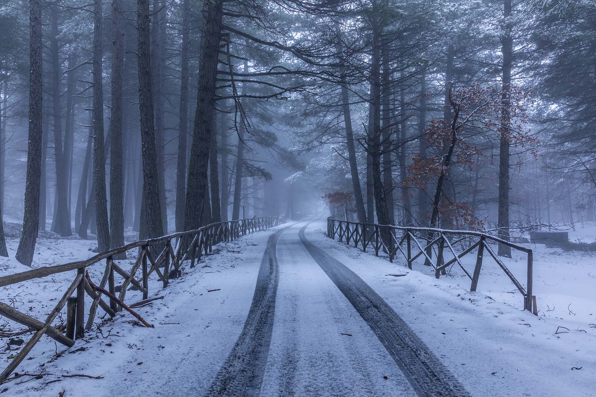 SAFF7477-Neve sull'Etna, la suggestiva strada della Milia tra i boschi imbiancati