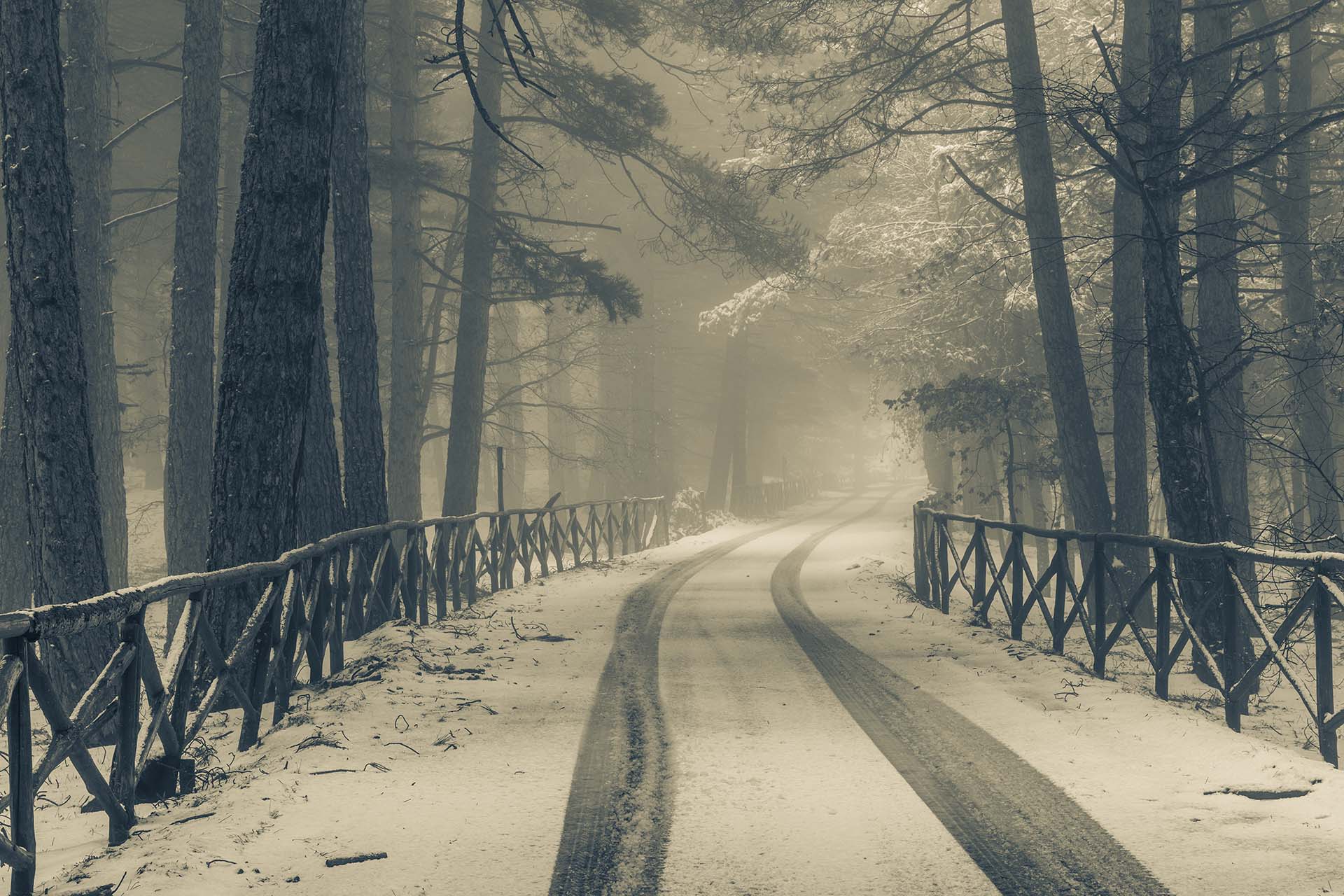 Neve sull’Etna, la suggestiva strada della Milia tra i boschi imbiancati