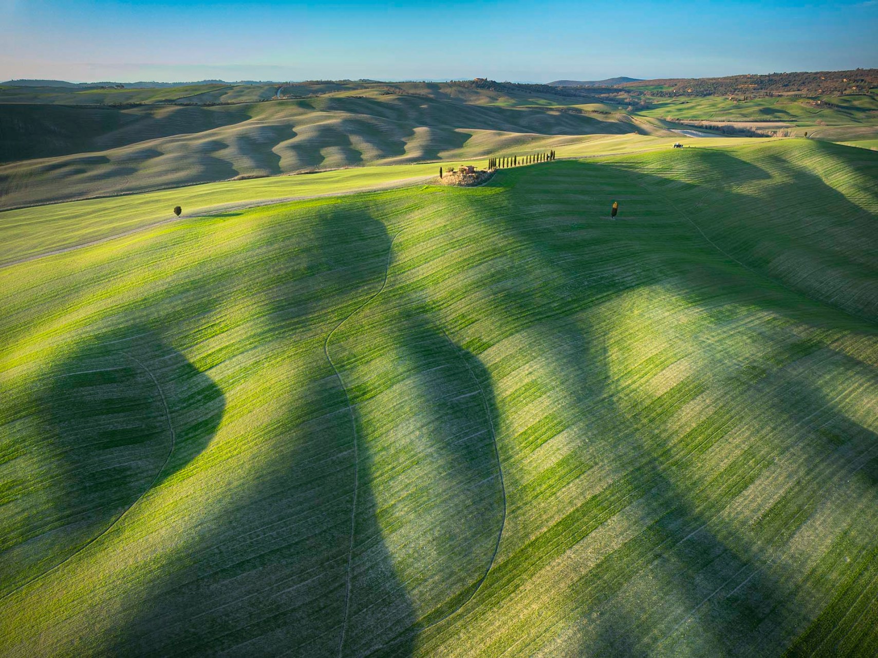 Le sinuose ondulazioni delle colline coltivate della Val d'Orcia patrimonioo dell'Umanità Unesco. 