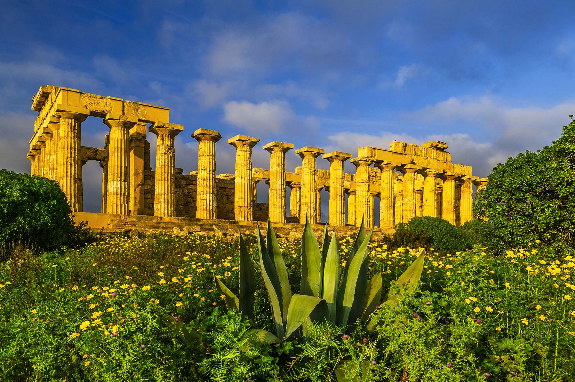 DE7U5314-Parco Archeologico di Selinunte, il Tempio E splende tra i colori della primavera