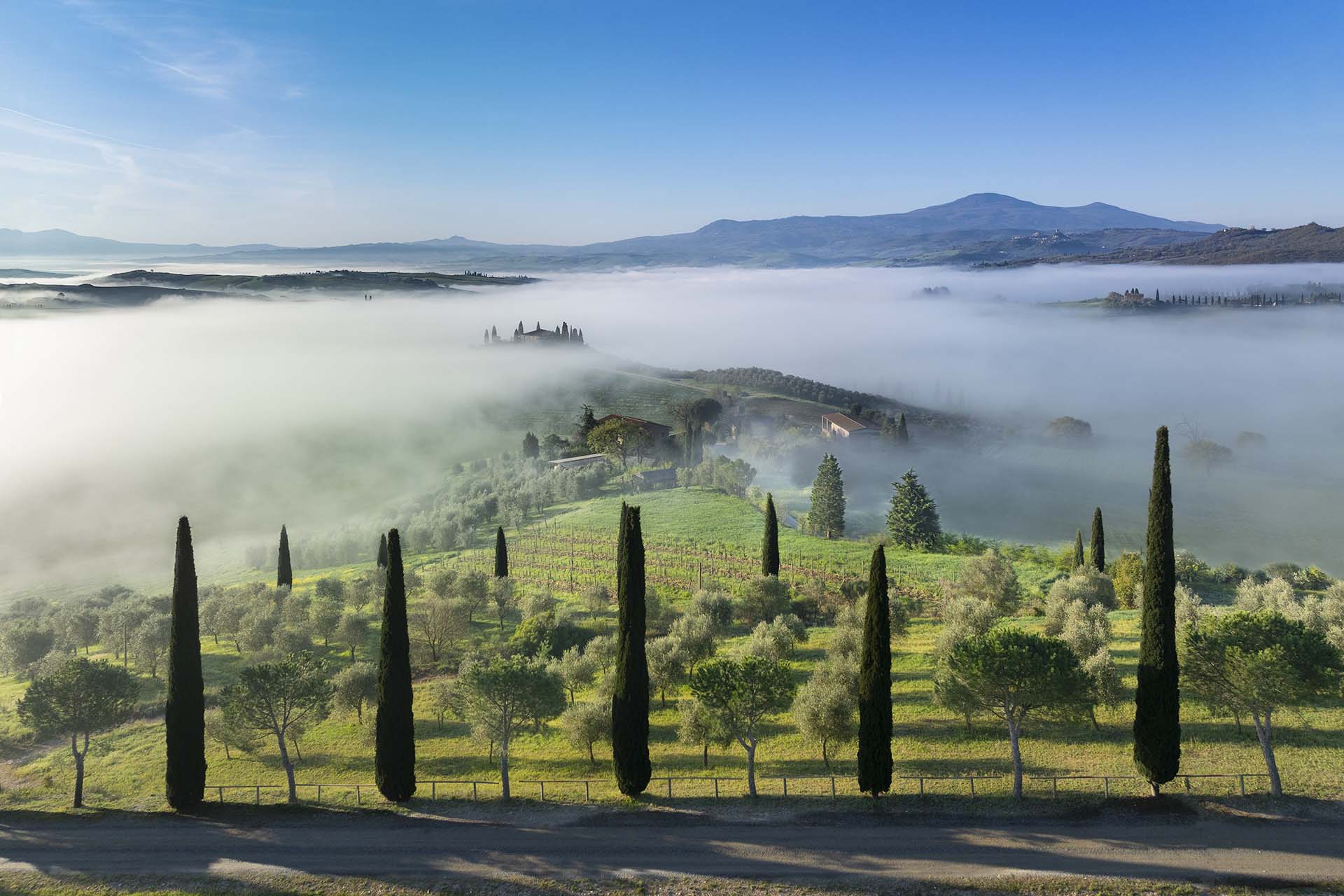 Sinfonia Toscana: L’abbraccio tra i Cipressi della Val d’Orcia e il Monte Amiata.