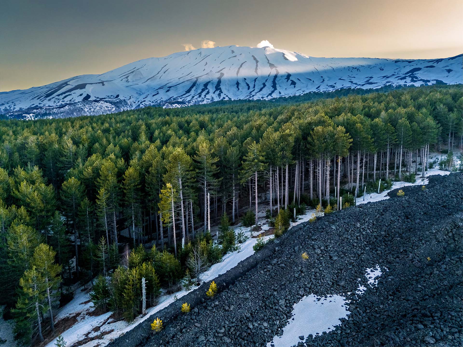DJI_0021-HDR - Etna Nord, il Bosco Ragabo assediato dalla colata del 2002