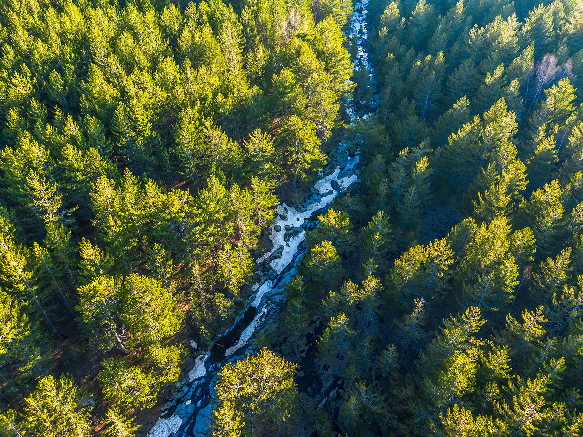 DJI_0907 - Il Canalone delle 40 Ore nel Bosco Ragabo, Etna Nord