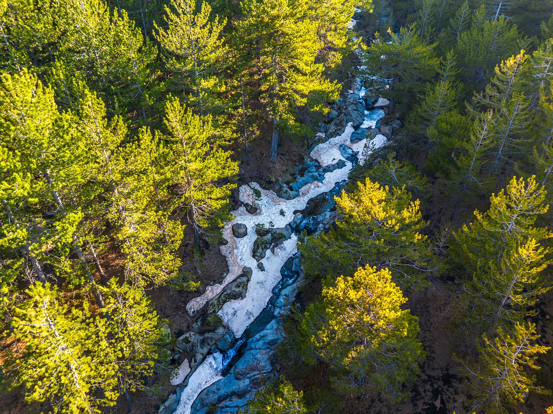 DJI_0913 - Il Canalone delle 40 Ore nel Bosco Ragabo, Etna Nord
