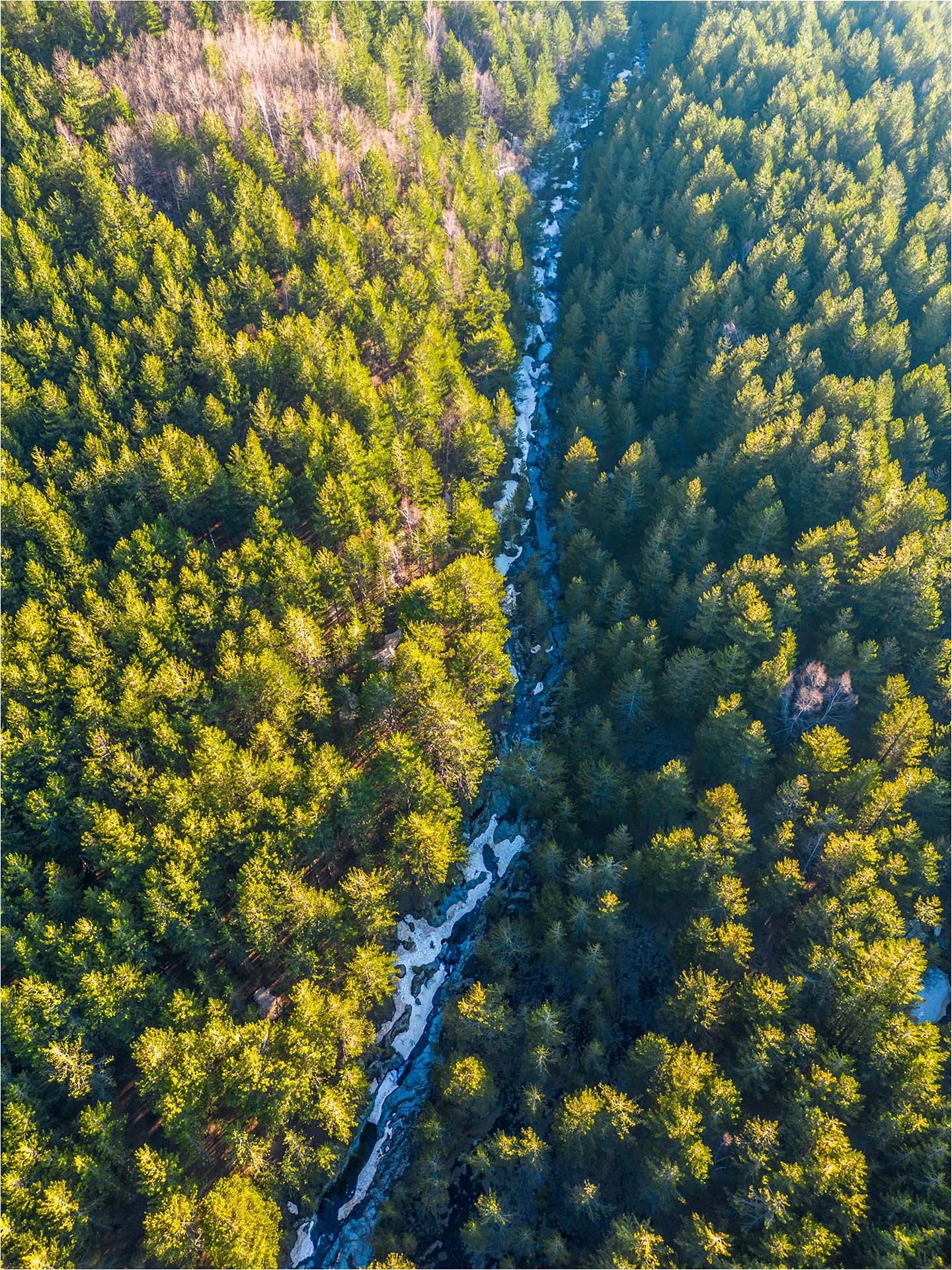 DJI_0930-HDR - Il Canalone delle 40 Ore nel Bosco Ragabo, Etna Nord