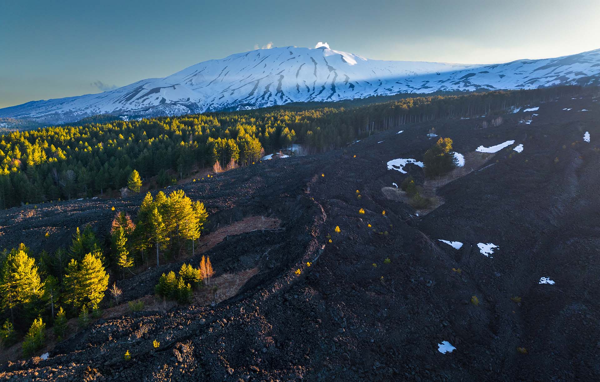 DJI_0990-HDR-Panorama - Etna Nord, il Bosco Ragabo assediato dalla colata del 2002