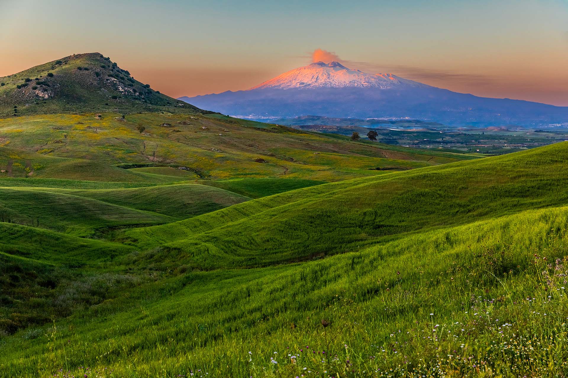 SAFF8861 - Paesaggio primaverile ai confini della Piana di Catania, le colline di grano a Monte Turcisi e vista sull'Etna