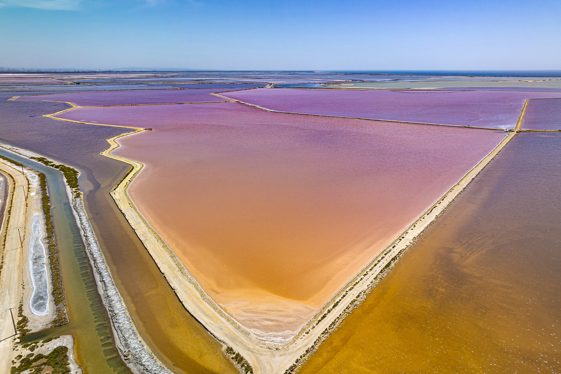 Il Sangue Rosa della Camargue: Magia e Silenzio a Salin de Giraud.