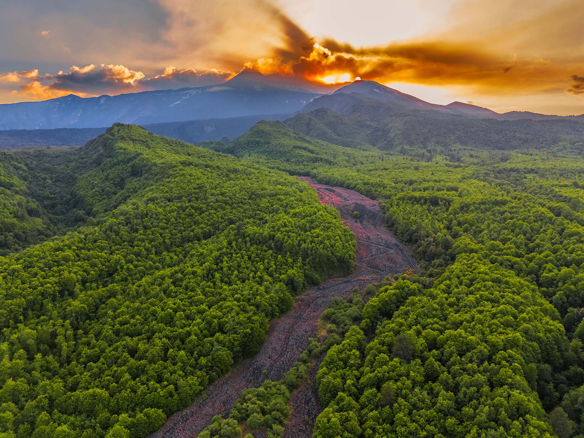 DJI_0432-HDR - Etna - La vita che rinasce sulla lava del '79 tra i boschi di Monte Fontane