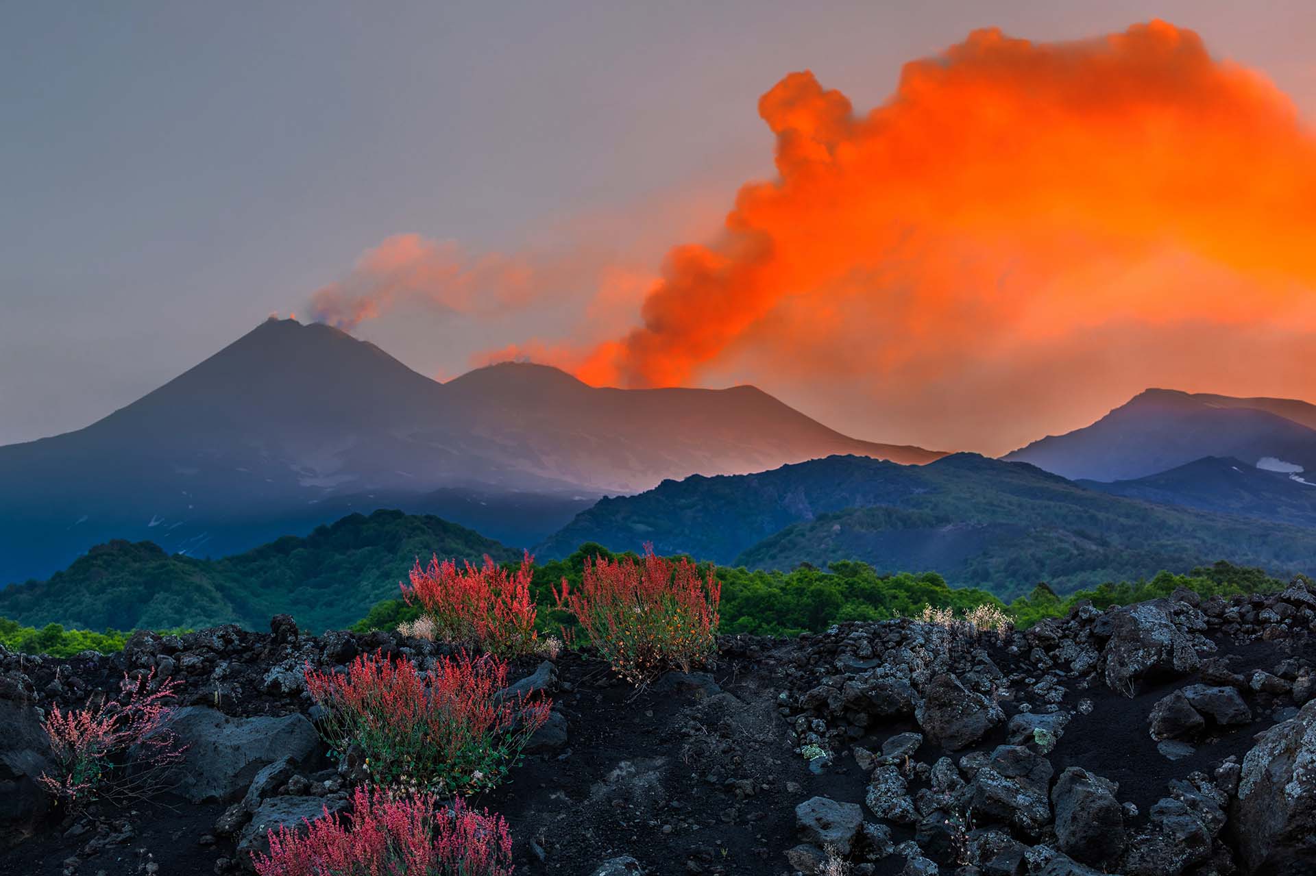 I Fiori dell’Etna e il Respiro dei Crateri Sommitali