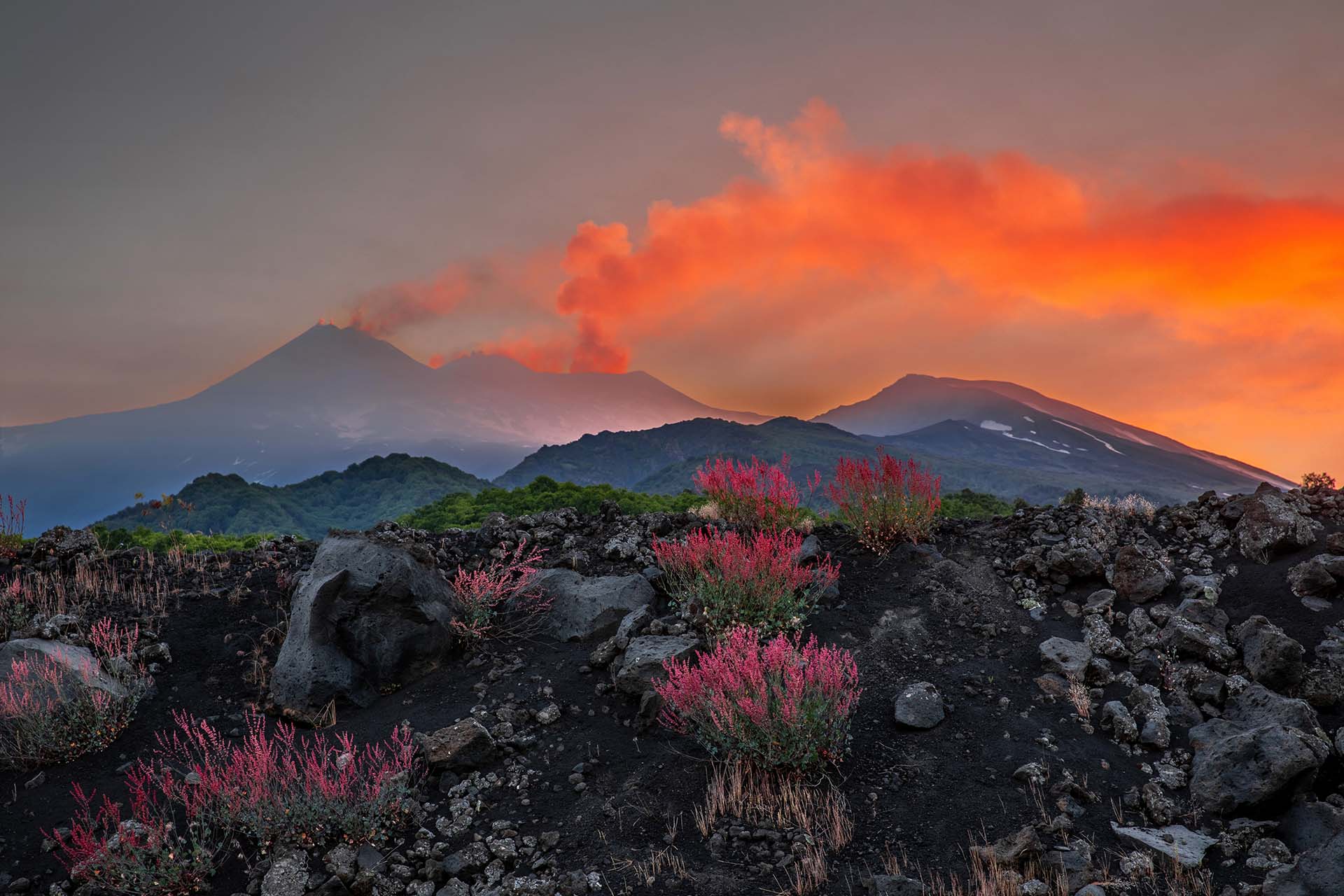 SAFF9323-HDR - I Fiori dell'Etna e il Respiro dei Crateri Sommitali