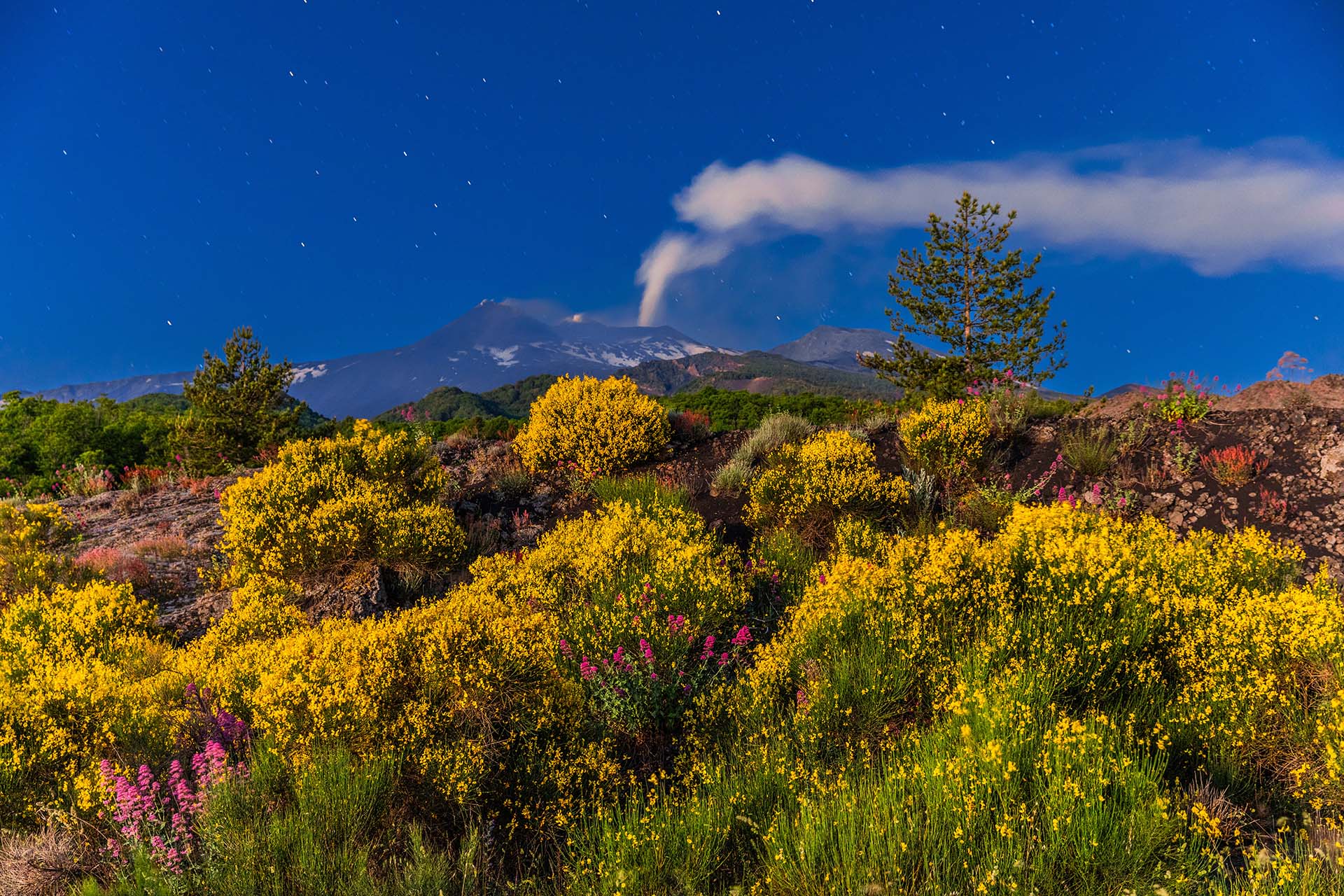 Notti di giugno sull’Etna – Ginestre in fiore sotto il respiro del vulcano