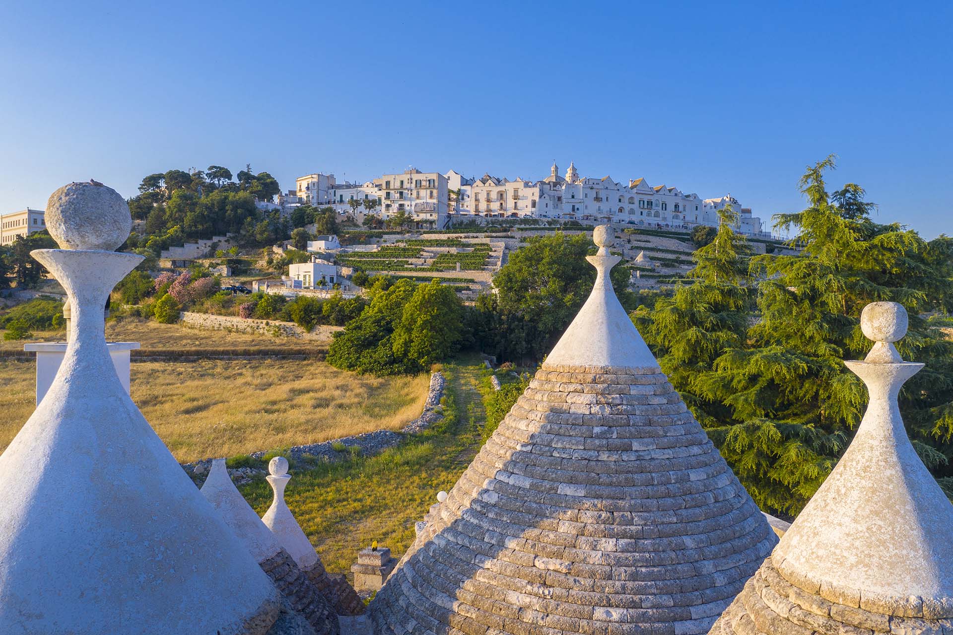 Vista di Locorotondo tra i tetti dei trulli.