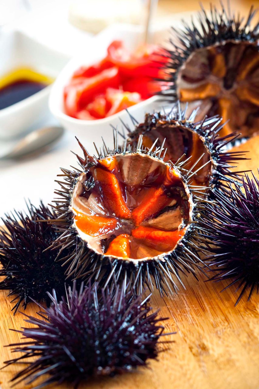 Ricci di mare
