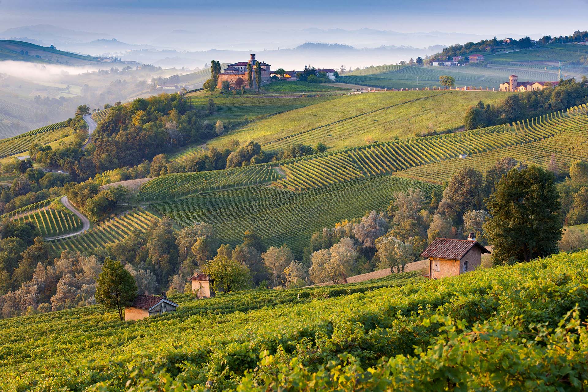 Il paesaggio vitivinicolo delle Langhe.