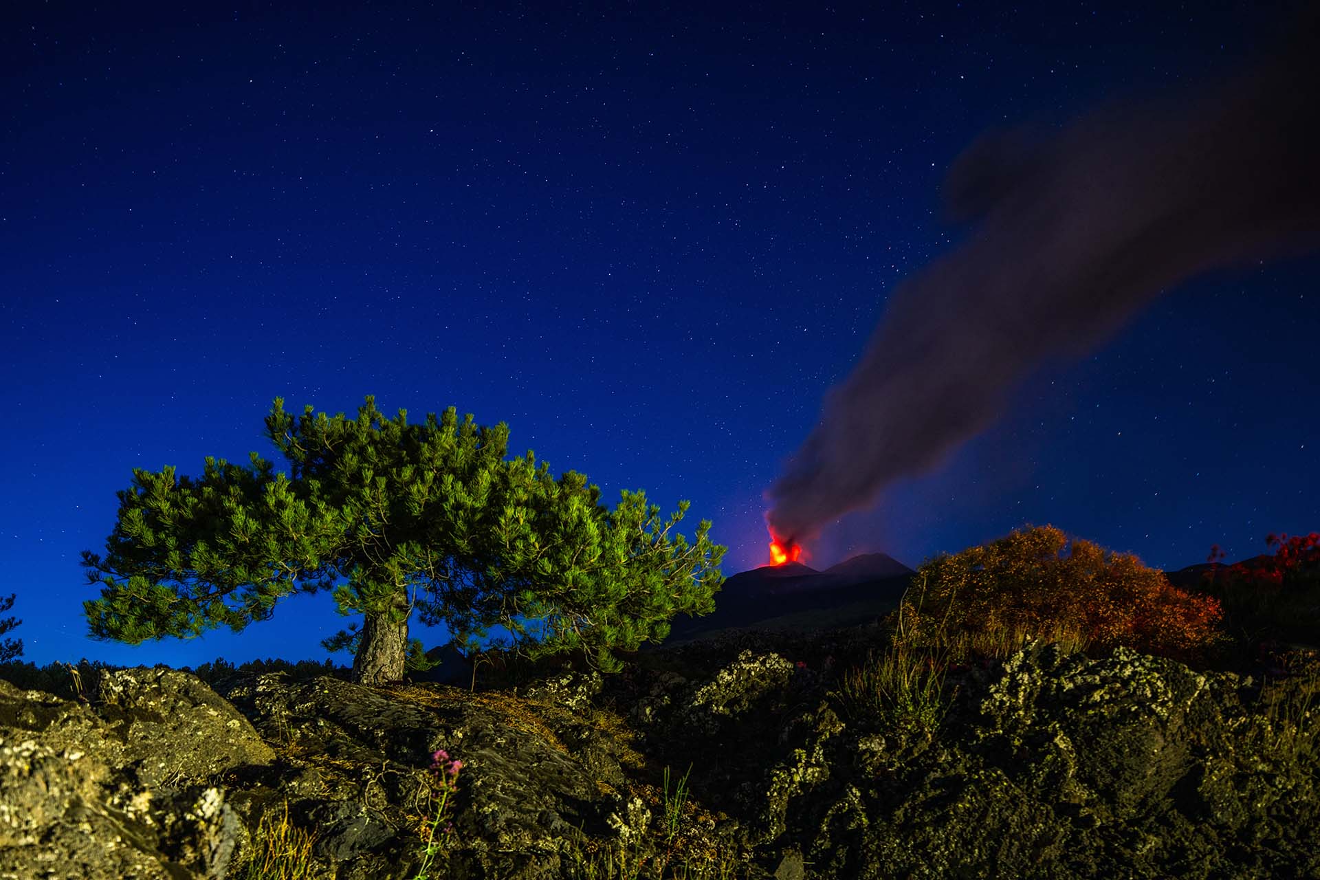 SAFF9402 - Etna, resilienza e forza nella notte