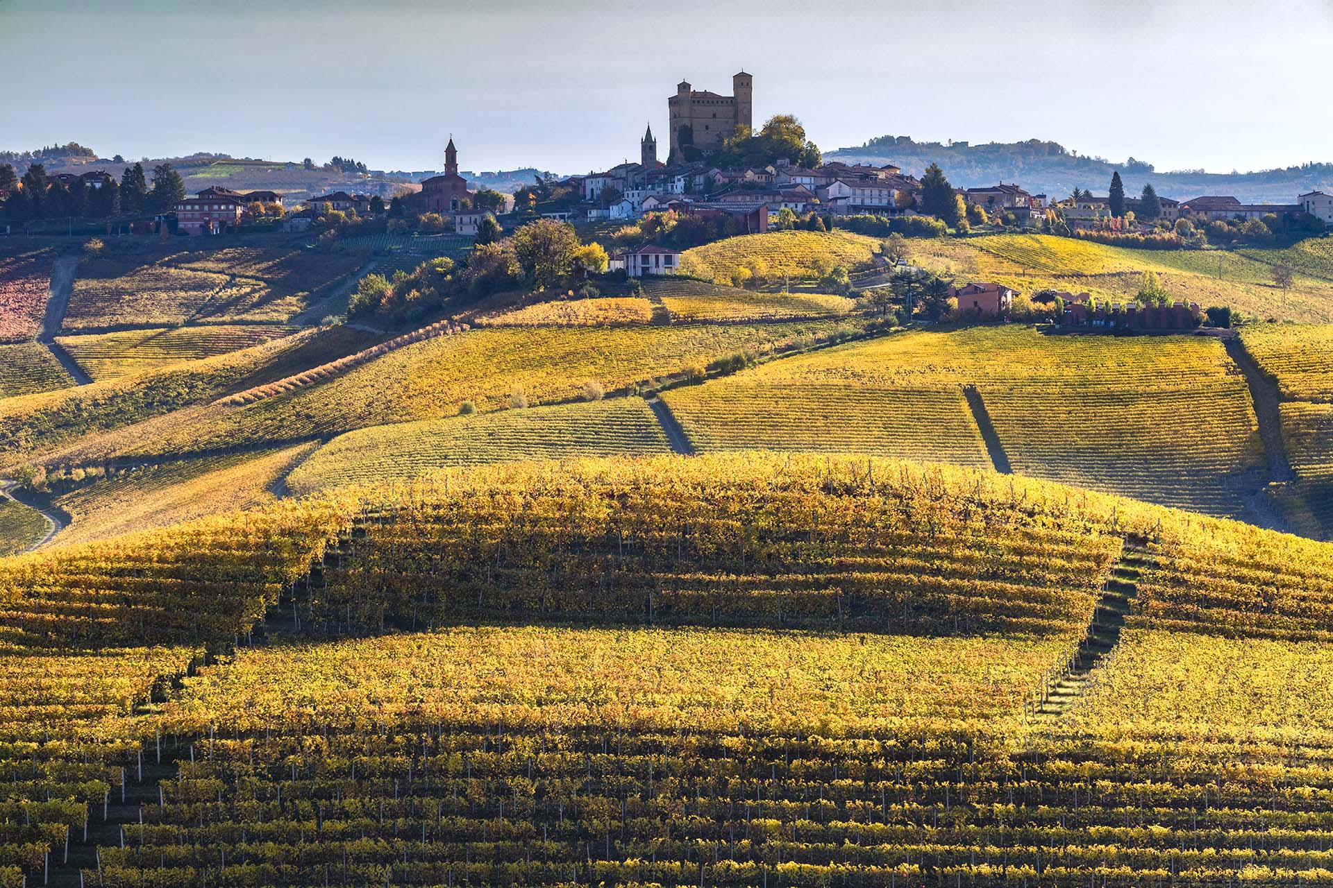 Vigneti di Serralunga d'Alba nelle Langhe in Piemonte.