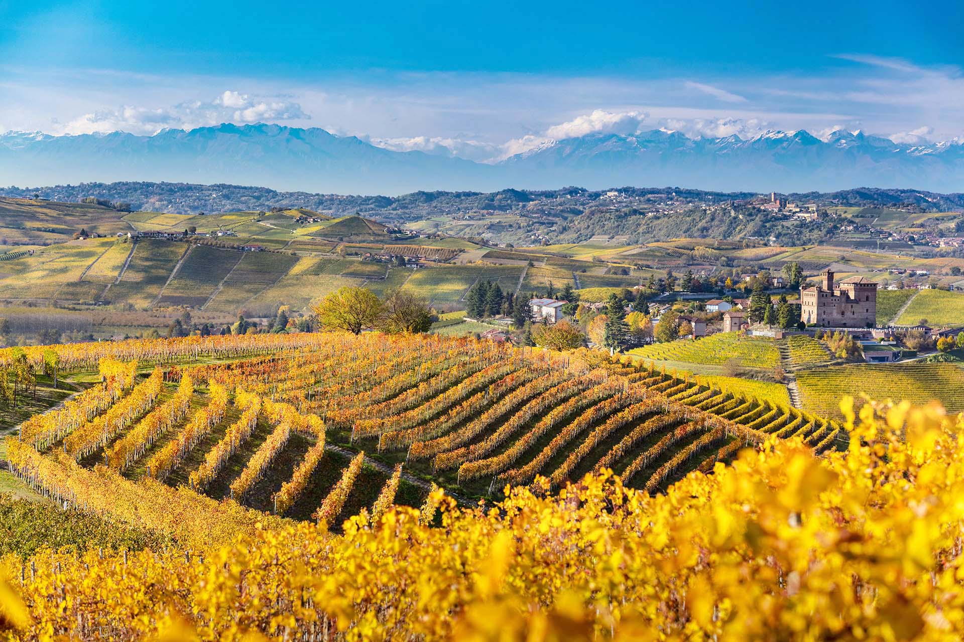 Paesaggio delle Langhe con il castello di Grinzane Cavour, vigneti colorati e arco alpino.