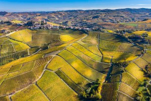 Vista dal cielo delle colline a Serralunga d'Alba