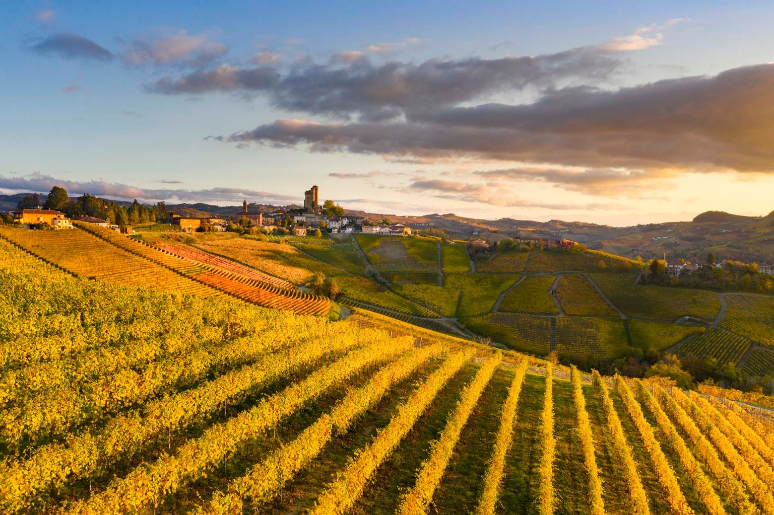 I vigneti di Serralunga d'Alba nelle Langhe.