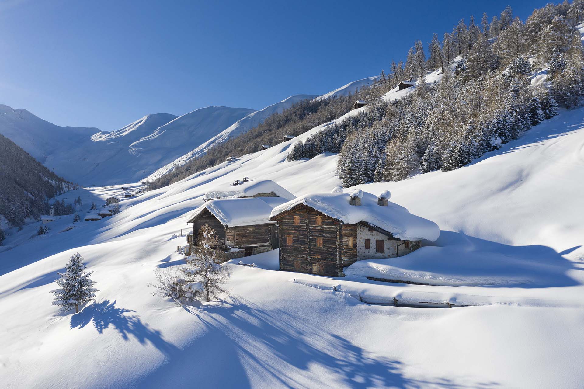 Chalet tra la neve in Val Federia a Livigno.