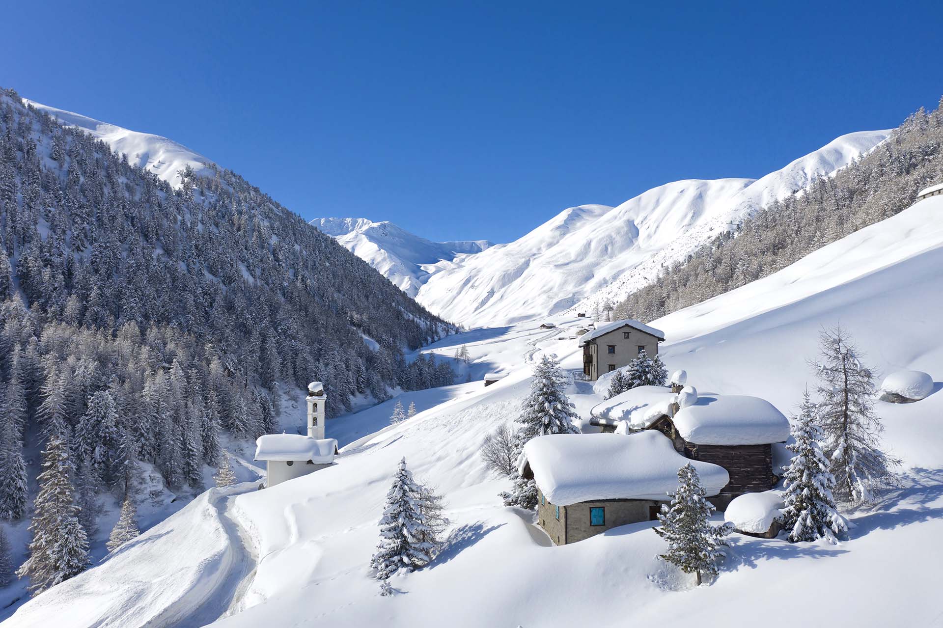 Il paesaggio innevato della Val Federia a Livigno.