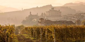Paesaggio delle Langhe con il borgo di Barolo e i suoi vigneti