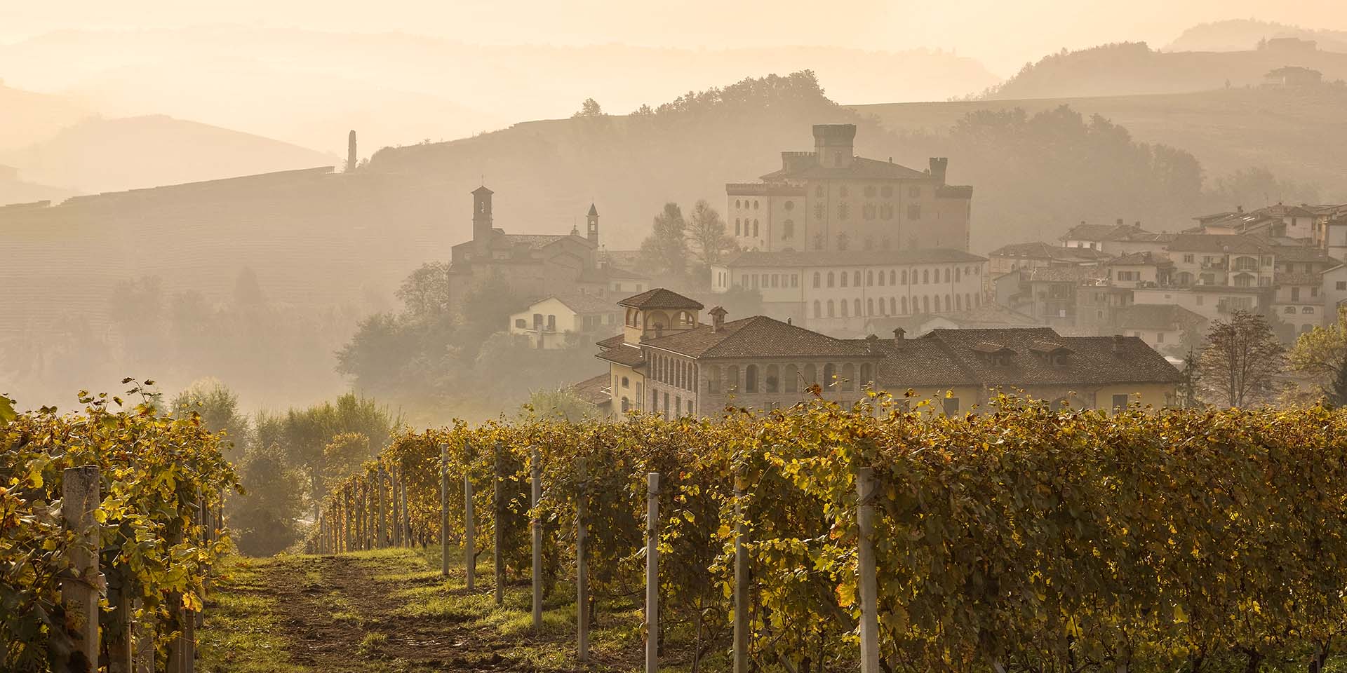 Paesaggio delle Langhe con il borgo di Barolo e i suoi vigneti