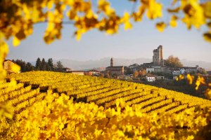 Il borgo di Serralunga d'Alba, situato nel cuore delle Langhe in Piemonte, con il suo caratteristico castello medievale che domina i vigneti tinti dai caldi colori del foliage autunnale