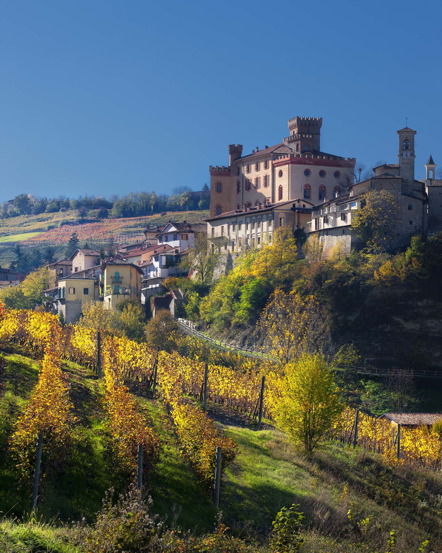 Autunno a Barolo: il profumo della vendemmia e la magia delle Langhe