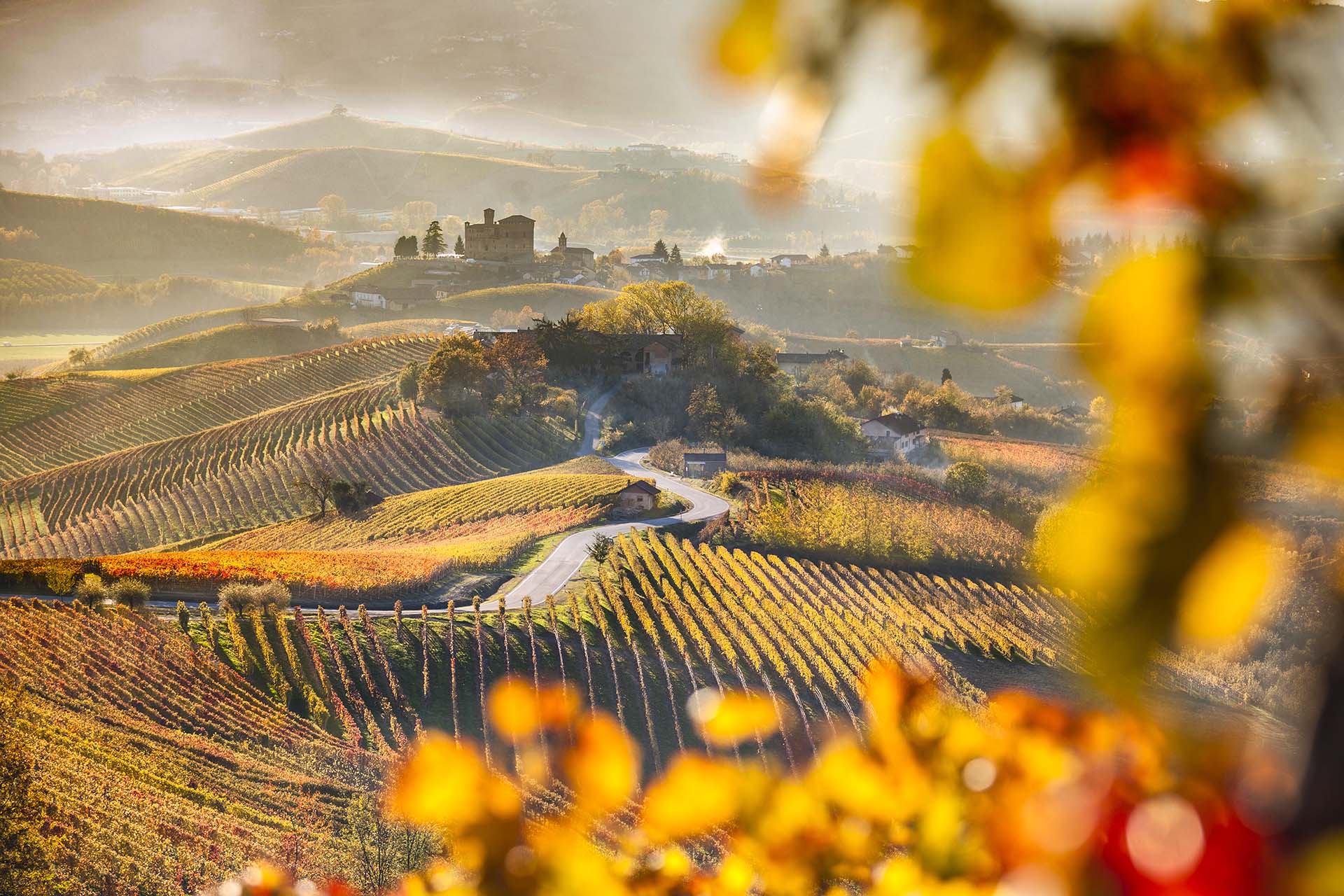Paesaggio delle Langhe con il castello di Grinzane Cavour.