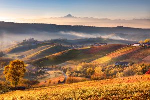 Paesaggio delle Langhe con il castello di Grinzane Cavour e la vetta del Monviso.
